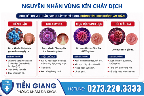 Nguyên nhân khiến vùng kín chảy dịch.